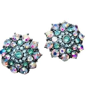 Vintage Sparkly Clip On Earrings